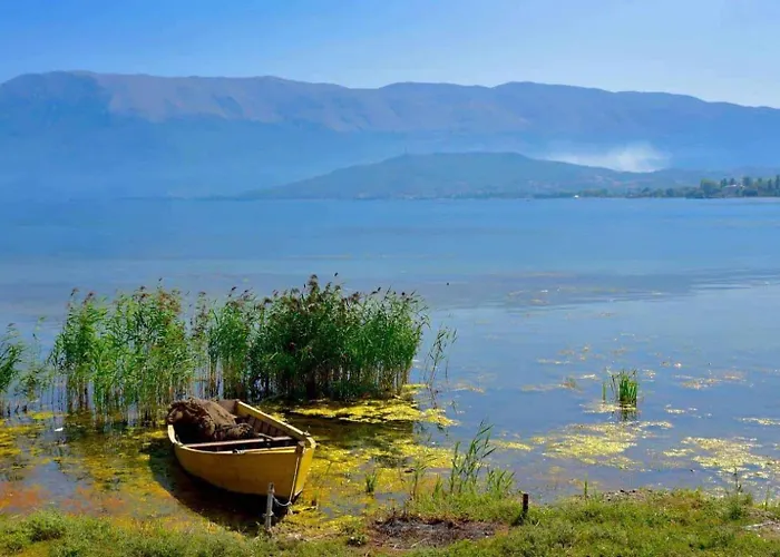 Fraj Homes * Pogradec